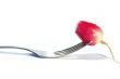 Fork and radish isolated