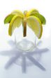 parts of lemon and kiwi