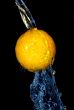 tangerine freshness motion in cold  water