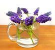 Bouquet of flowers in a transparent cup