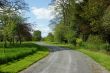 Small road in park