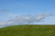 Green grass and blue sky