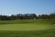 Golf hole with flag