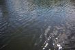 river water