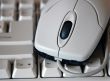 mouse 1