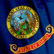 Idaho Flag Closeup