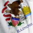 Illinois Flag Closeup