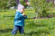 Gathering of dandelions on a glade 4