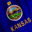 Kansas Flag Closeup