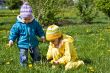 Gathering of dandelions on a glade