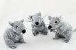 Grey a mousy sitting in a number