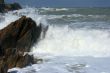 Waves