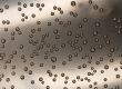 Bubbles