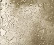 Raindrops
