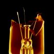 Bulb