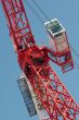 Crane