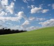Field