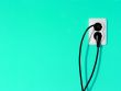 Plug
