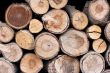 Logs