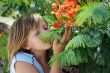 Little girl and  colorful flowers