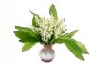 Bouquet of mayflowers