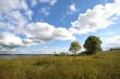 Landscape with clouds