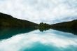 A lake in the forest