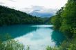 A lake in the forest