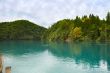 A lake in the forest