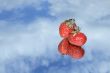 Strawberry in sky