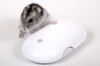 Computer mouse
