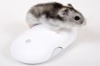 Computer mouse