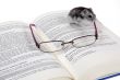 Mouse reads