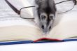 Mouse reads