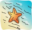 Starfish beach