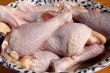 Raw chicken drumsticks