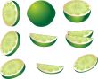 Lime illustration