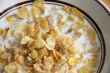 Corn flakes in milk