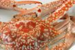 Cooked crab