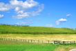 summer country view with fields and fences
