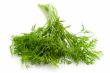 green dill