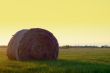 Hay Bale