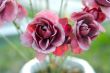 Artificial Roses