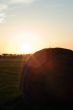 Farm Sunset