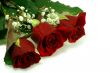 floral composition with three nice red roses