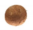 Closeup of coconut