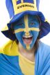 Sweden fan