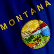 Montana Flag Closeup