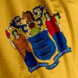 New Jersey Flag Closeup