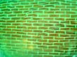 Abstracted brick wall seen through green glass